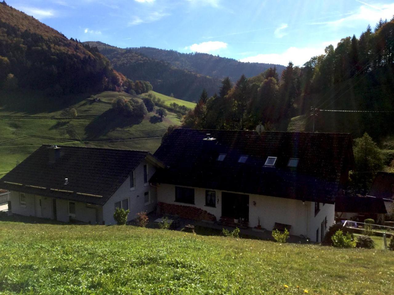 דירות Münstertal Erikas Haus מראה חיצוני תמונה