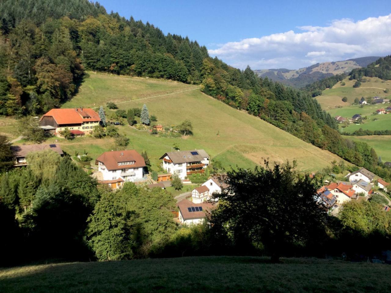 דירות Münstertal Erikas Haus מראה חיצוני תמונה