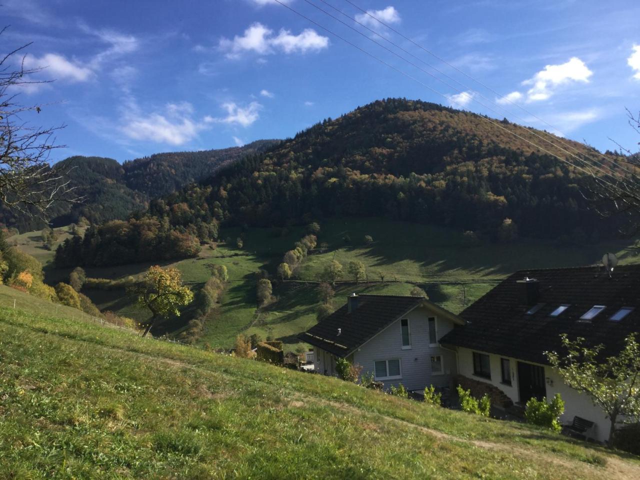 דירות Münstertal Erikas Haus מראה חיצוני תמונה