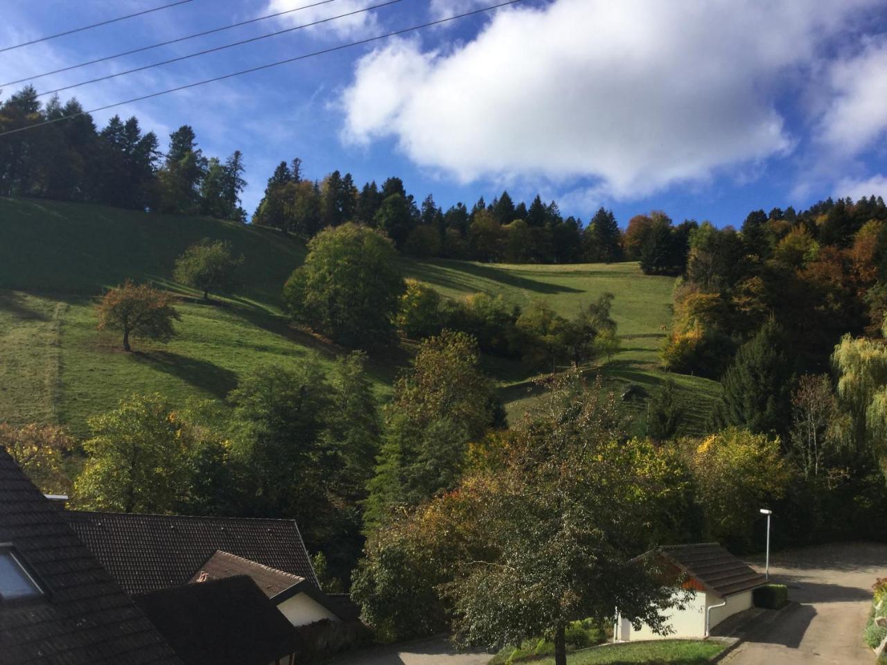 דירות Münstertal Erikas Haus מראה חיצוני תמונה