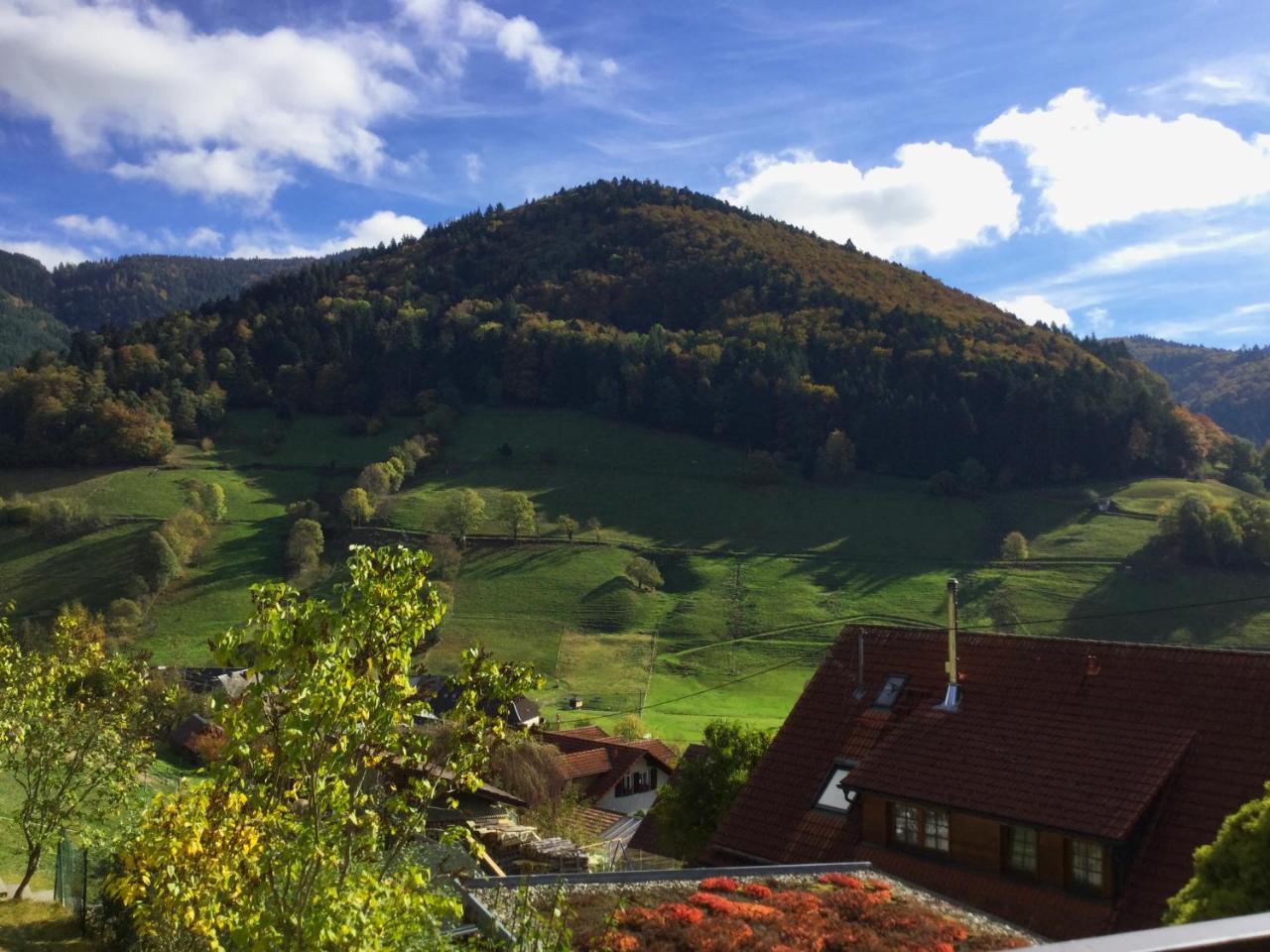 דירות Münstertal Erikas Haus מראה חיצוני תמונה